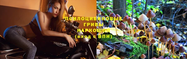 марихуана Заводоуковск